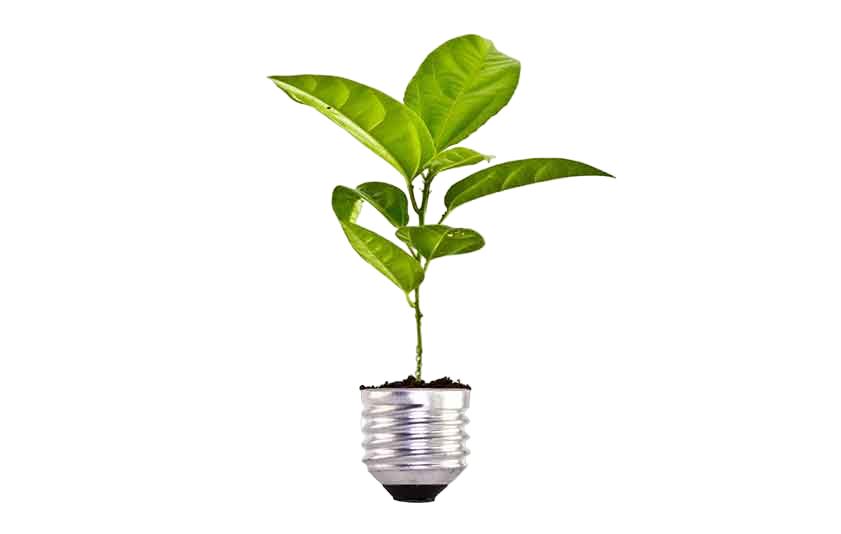 img-41-PhotoRoom.png-PhotoRoom